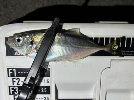 おるのはおるけど〜ポツポツ！