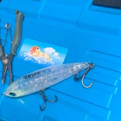 ヒラマサキャスティング