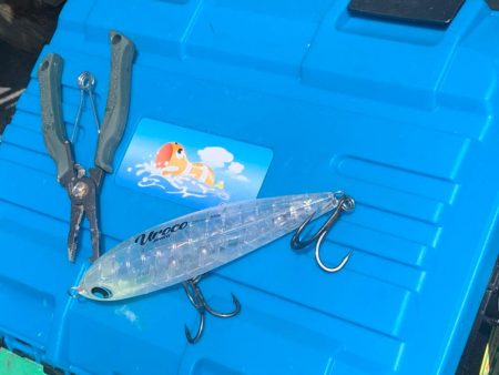 ヒラマサキャスティング