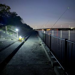 花見カレイ狙い🌸