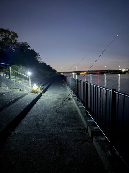 花見カレイ狙い🌸