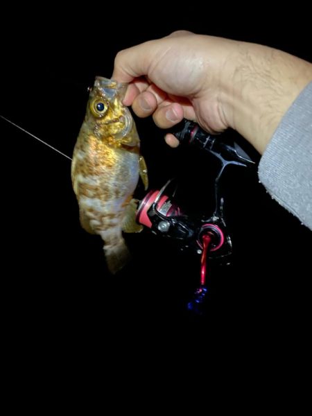 ライトゲーム五目　in養老