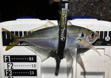 多少の雨なら行く！