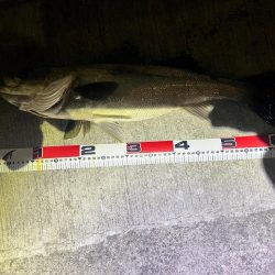 良い流れから出た2本