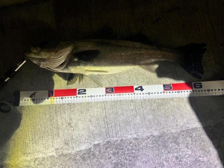 良い流れから出た2本