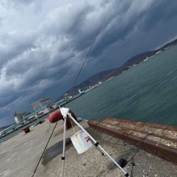 ホッケッケのケー終盤か？