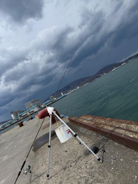 ホッケッケのケー終盤か？