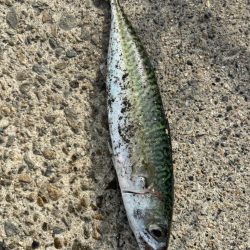 悩ましいところ…