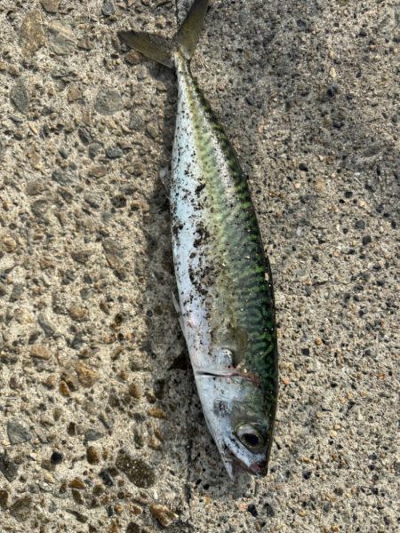 悩ましいところ…