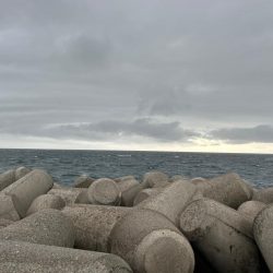 魚津港フカセ 強風で退散