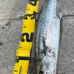 2025年　色々と初‼️