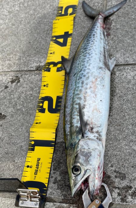 2025年　色々と初‼️