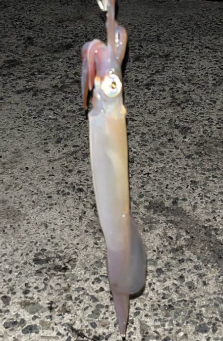 初めての3桁٩( ᐛ )و