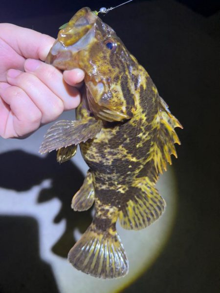 惜しくも尺届かず！！