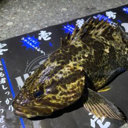 深夜ライトゲーム②