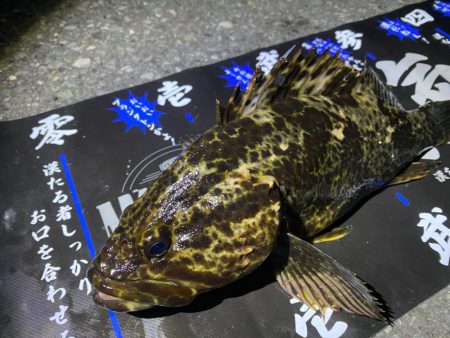 深夜ライトゲーム②