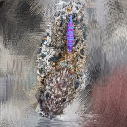 どちらも寒かった〜