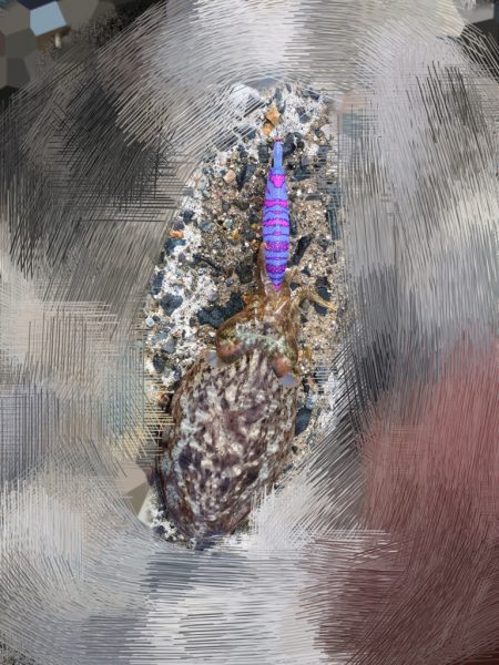 どちらも寒かった〜