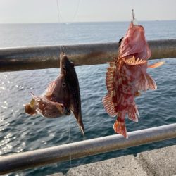 淡路島釣行！