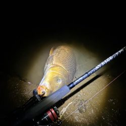 ボトムのカーピング！