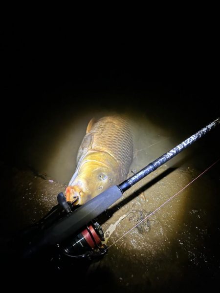 ボトムのカーピング！