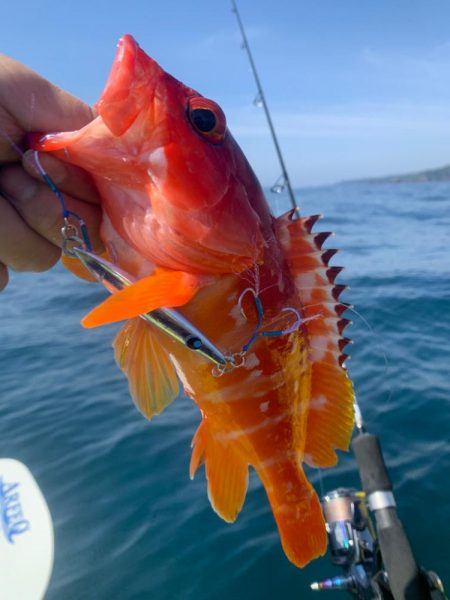 カヤックフィッシング