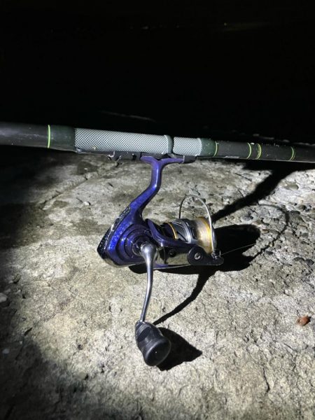 東二見メバル17