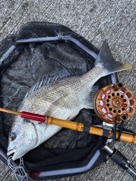 ヘチってきました