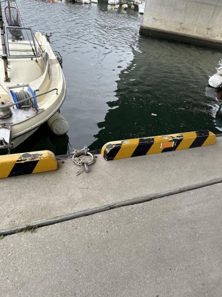 アジ狙いのチヌ