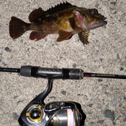 爆風メバリングのちガシリング