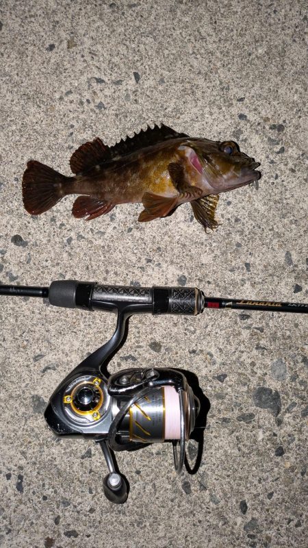 爆風メバリングのちガシリング