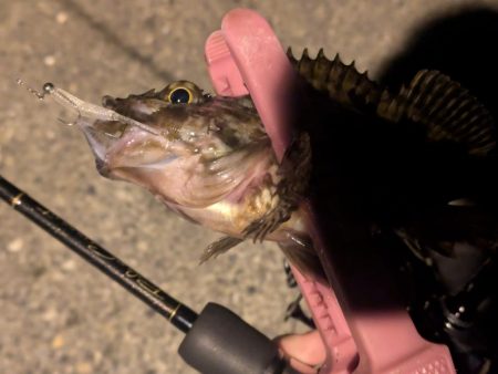 福田漁港ナイトライトゲーム