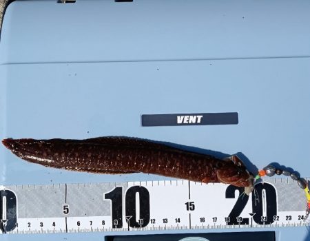 ちょい穴釣り〜大磯〜