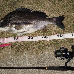 カラーローテーション