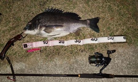 カラーローテーション