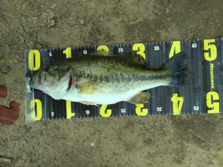 パワーフィネスとサカマタで3本