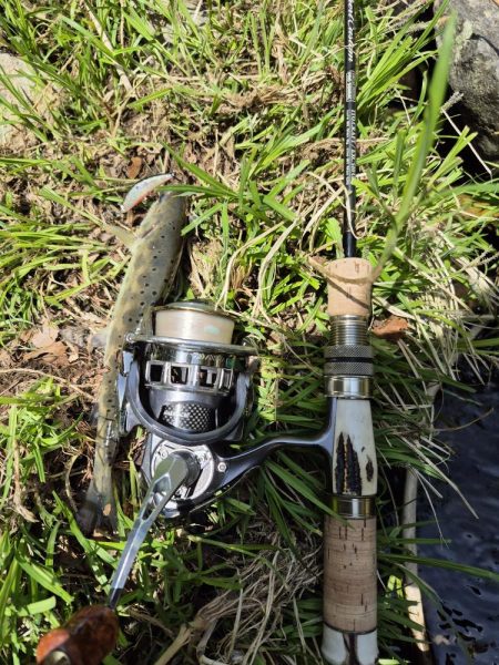 放流翌日昼からやけど結構出ましたよ