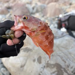陸っぱり釣行記