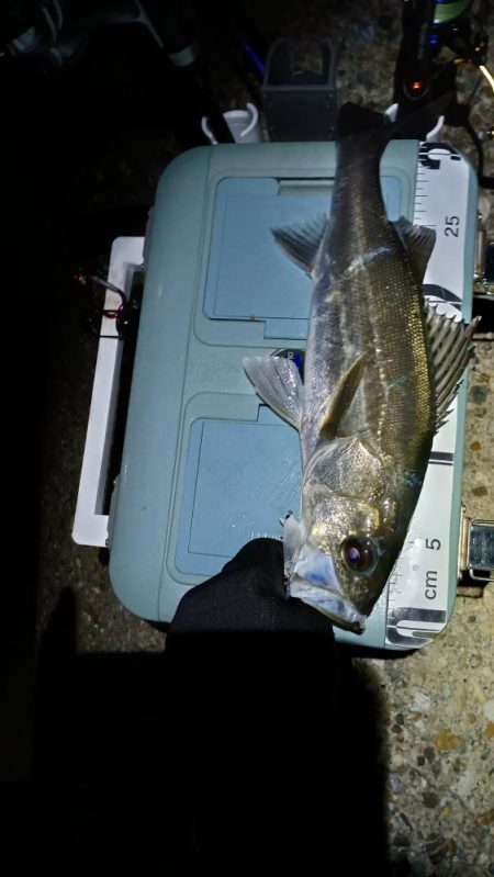 1ヶ月ぶりの釣果