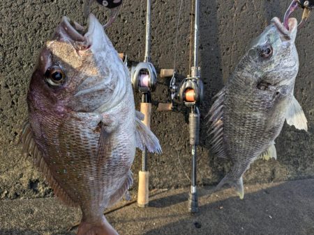 海チニングwithショアレッド