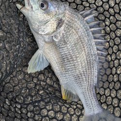 春爆チニングin呉