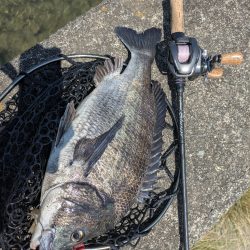 広島チニング春爆!