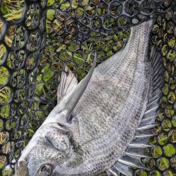 雨中ドSチニング！