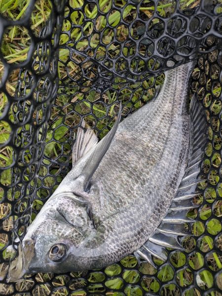 雨中ドSチニング！