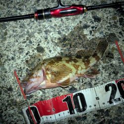 寒すぎた:;((•﹏•๑)));: