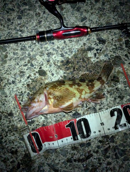 寒すぎた:;((•﹏•๑)));: