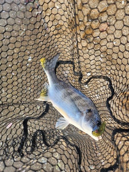 春爆チニング！