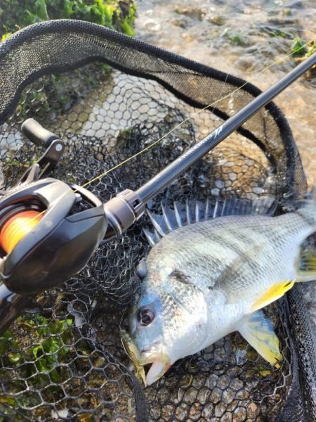 黒・黄・赤コンプリート!!