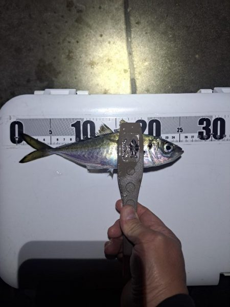 勢い良く沈み続ける電気ウキ