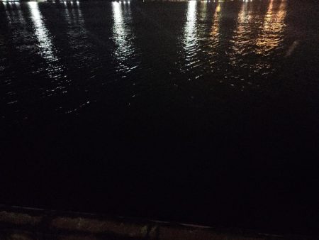 やっと釣れた🐟